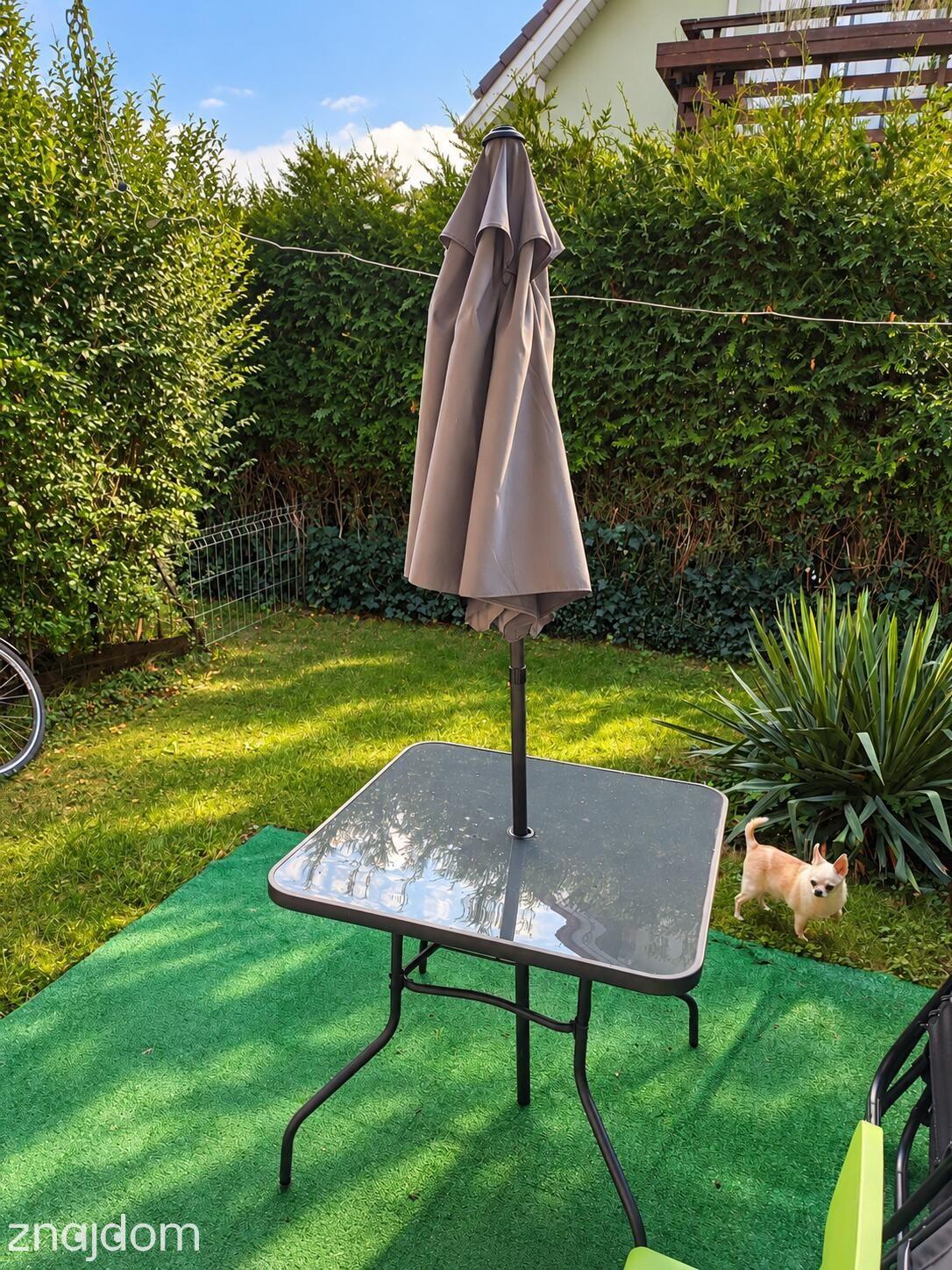 Oferta 24986 - zdjęcie 11