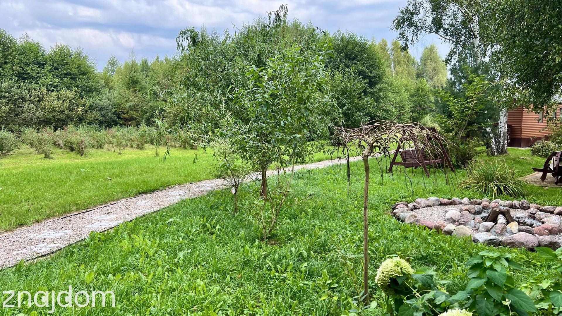 Domek letniskowy przy lesie - zdjęcie 6