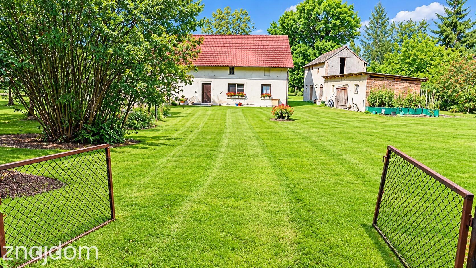 Siedlisko - dom plus teren 1,1020 ha . Kedrzyno gmina Siemyśl - zdjęcie 13