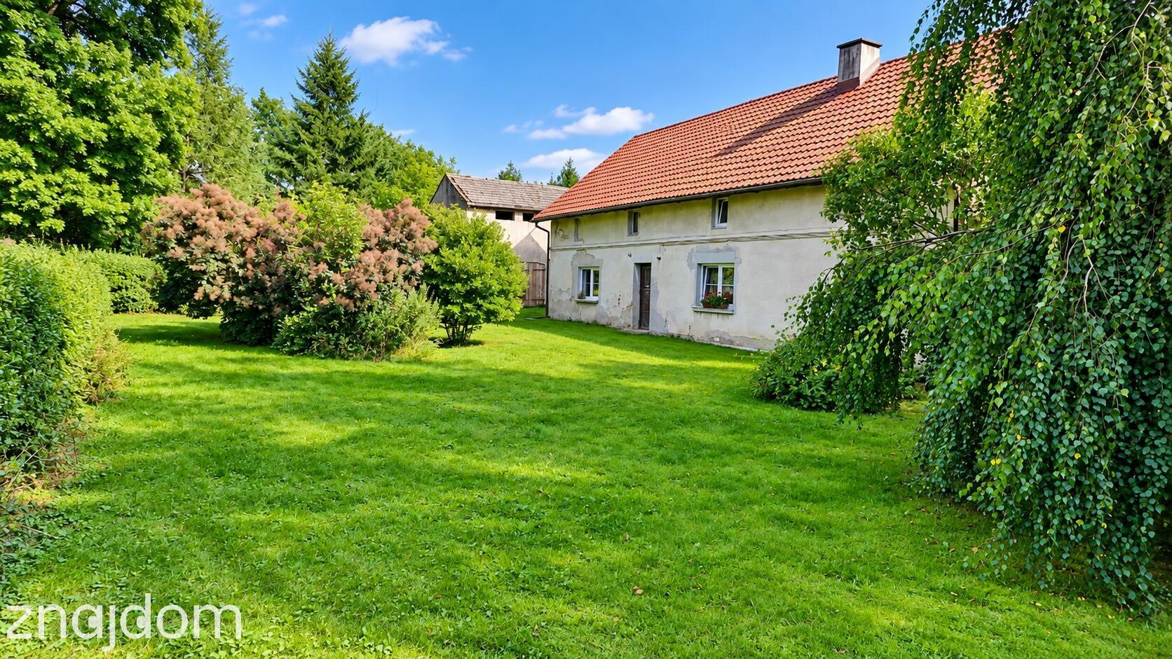 Siedlisko - dom plus teren 1,1020 ha . Kedrzyno gmina Siemyśl - zdjęcie 3