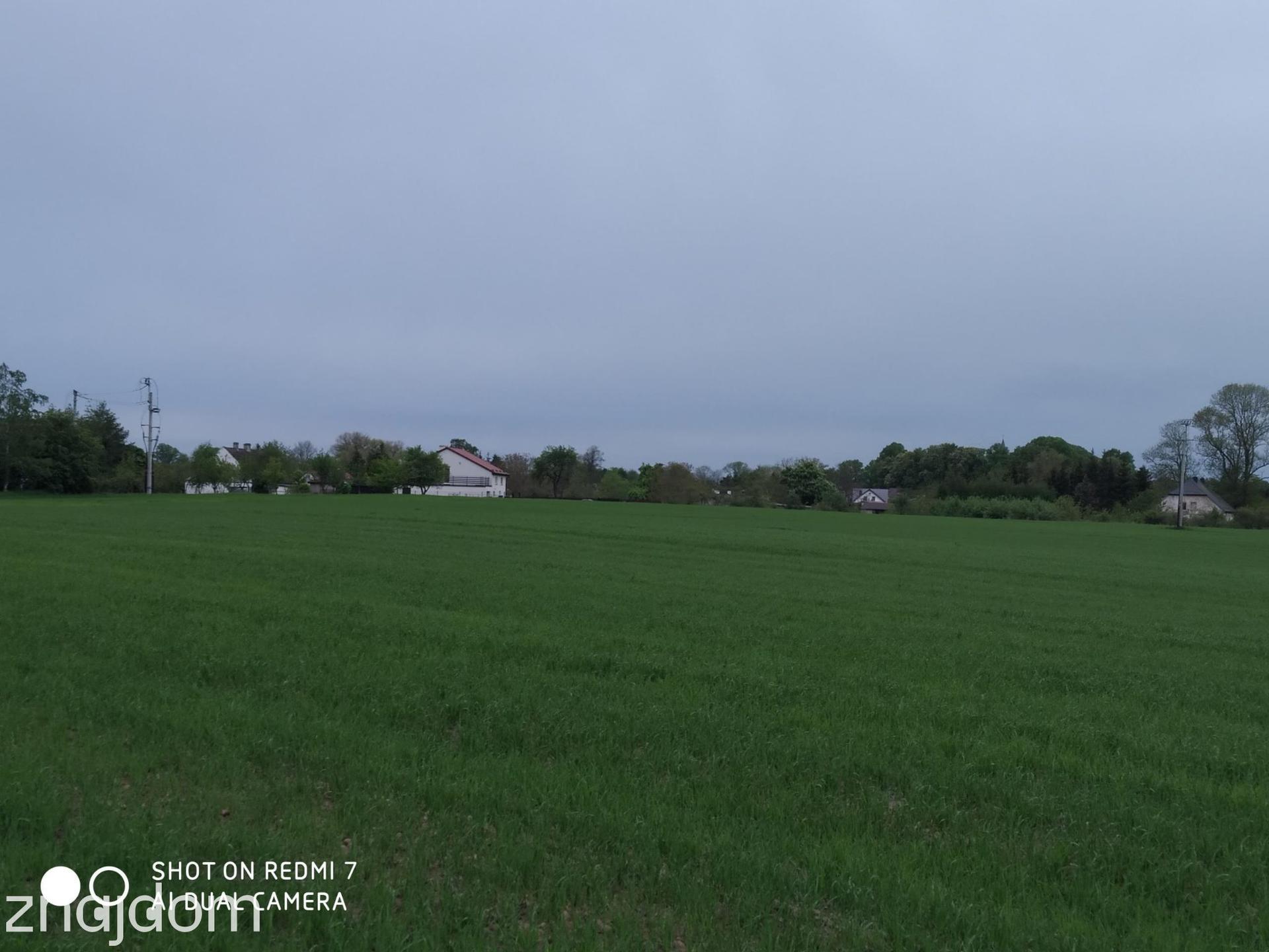 Czernin uzbrojona działka budowlana o pow. 1620 m2 - zdjęcie 4