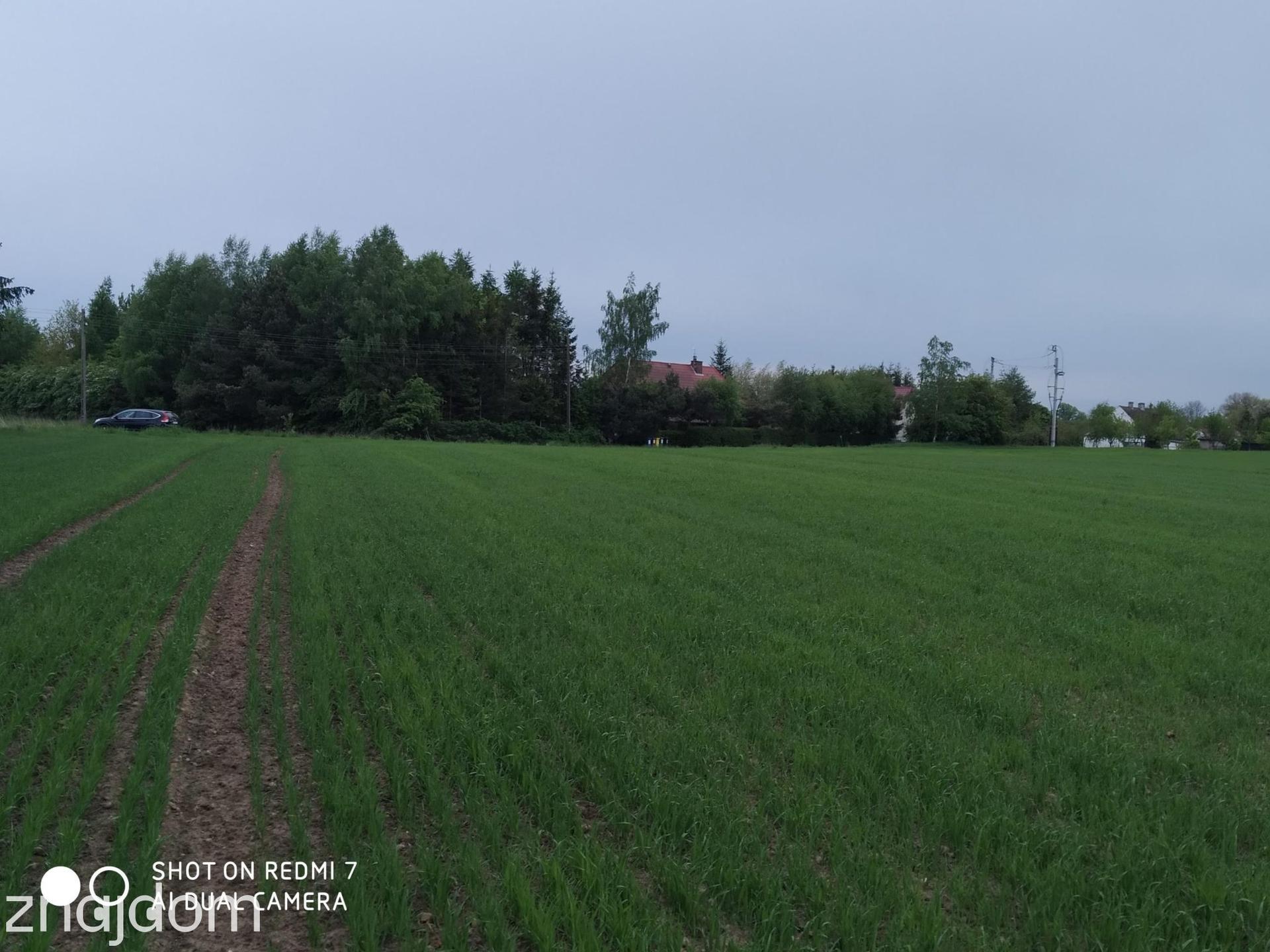 Czernin uzbrojona działka budowlana o pow. 1620 m2 - zdjęcie 5