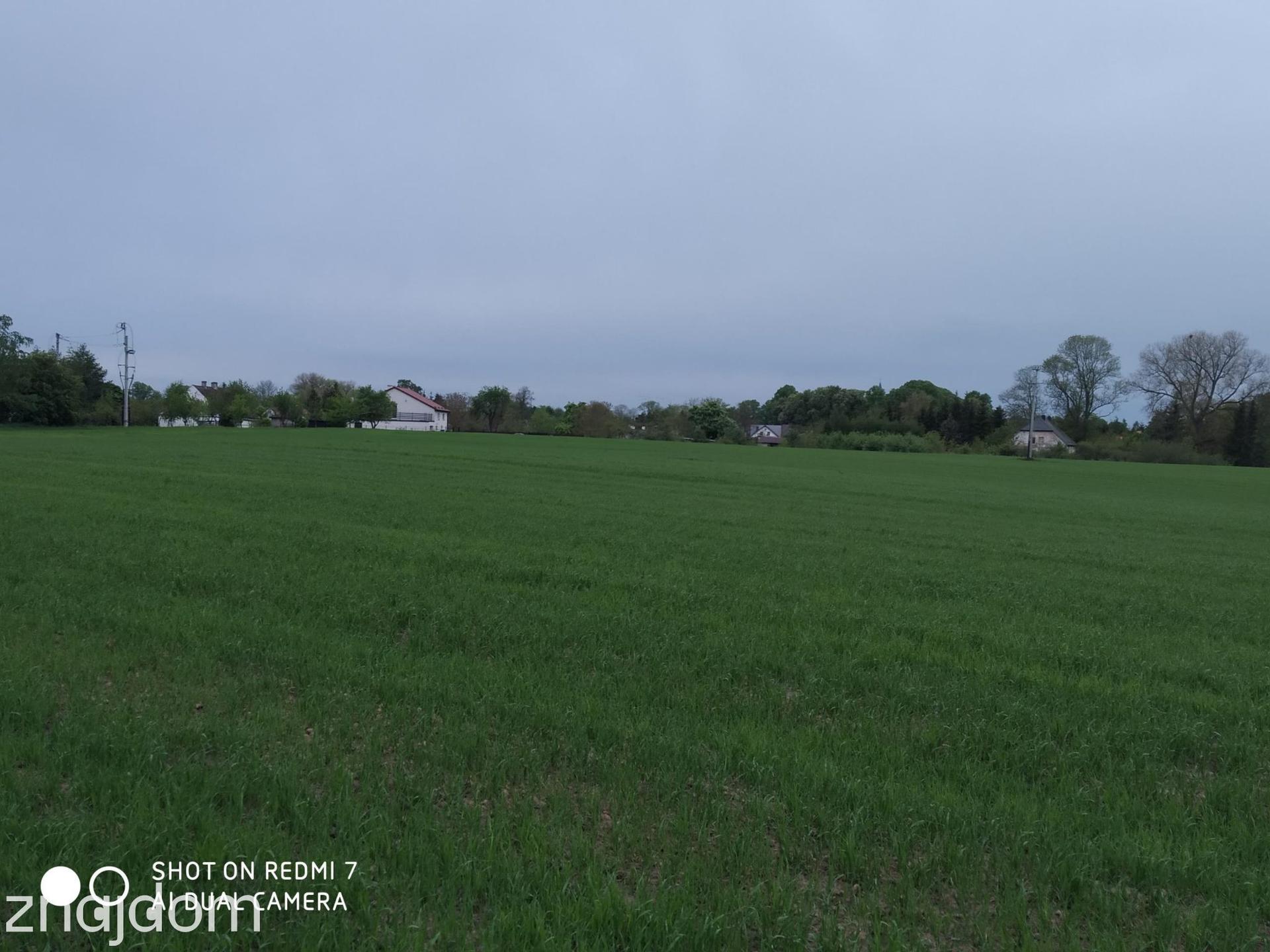 Czernin uzbrojona działka budowlana o pow. 1620 m2 - zdjęcie 6