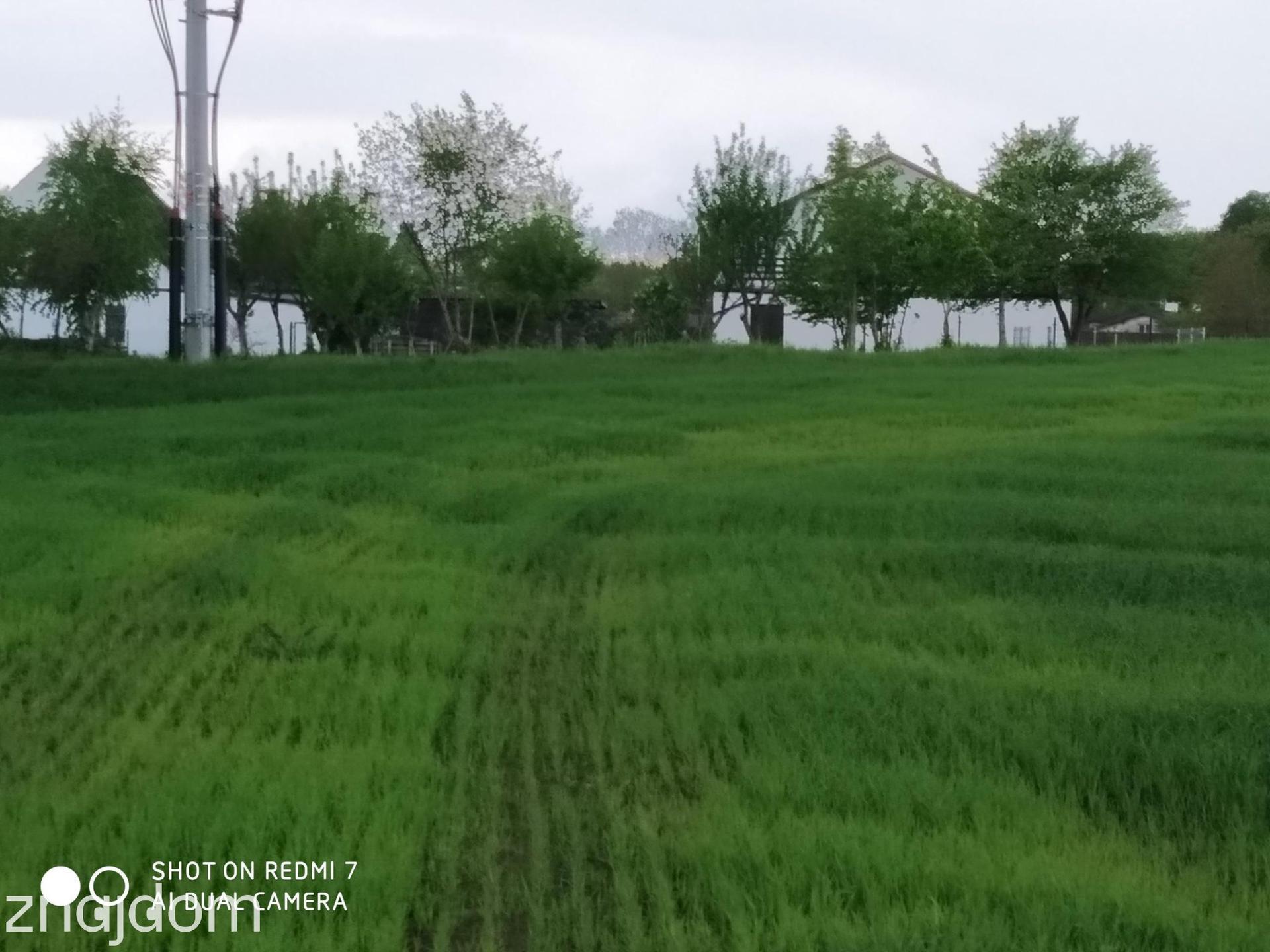 Czernin uzbrojona działka budowlana o pow. 1620 m2 - zdjęcie 7