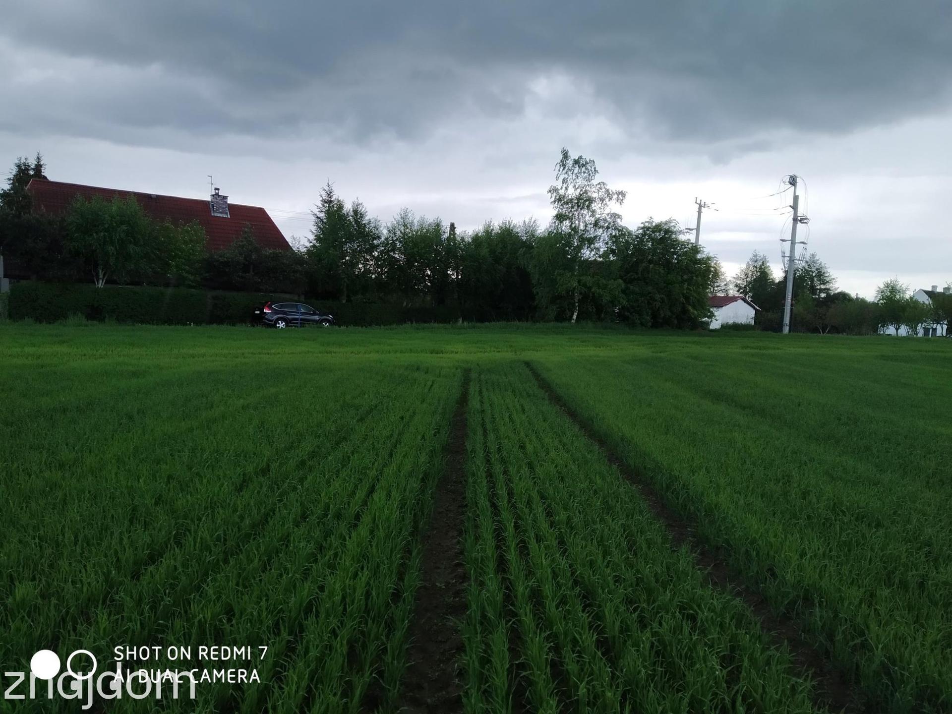 Czernin uzbrojona działka budowlana o pow. 1620 m2 - zdjęcie 8