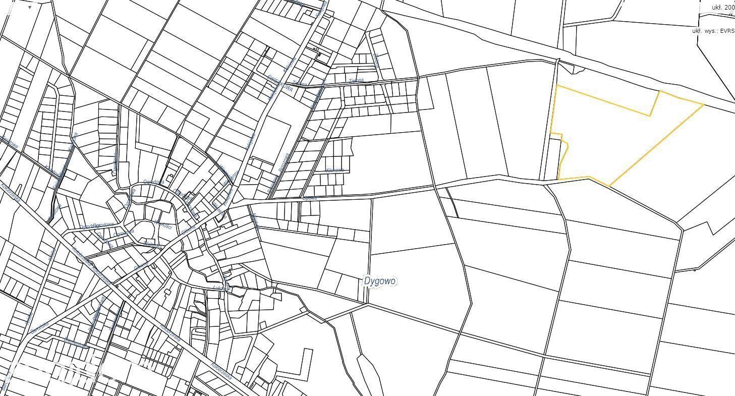 Dygowo teren 10,2 ha ze stawem w lesie - zdjęcie 11