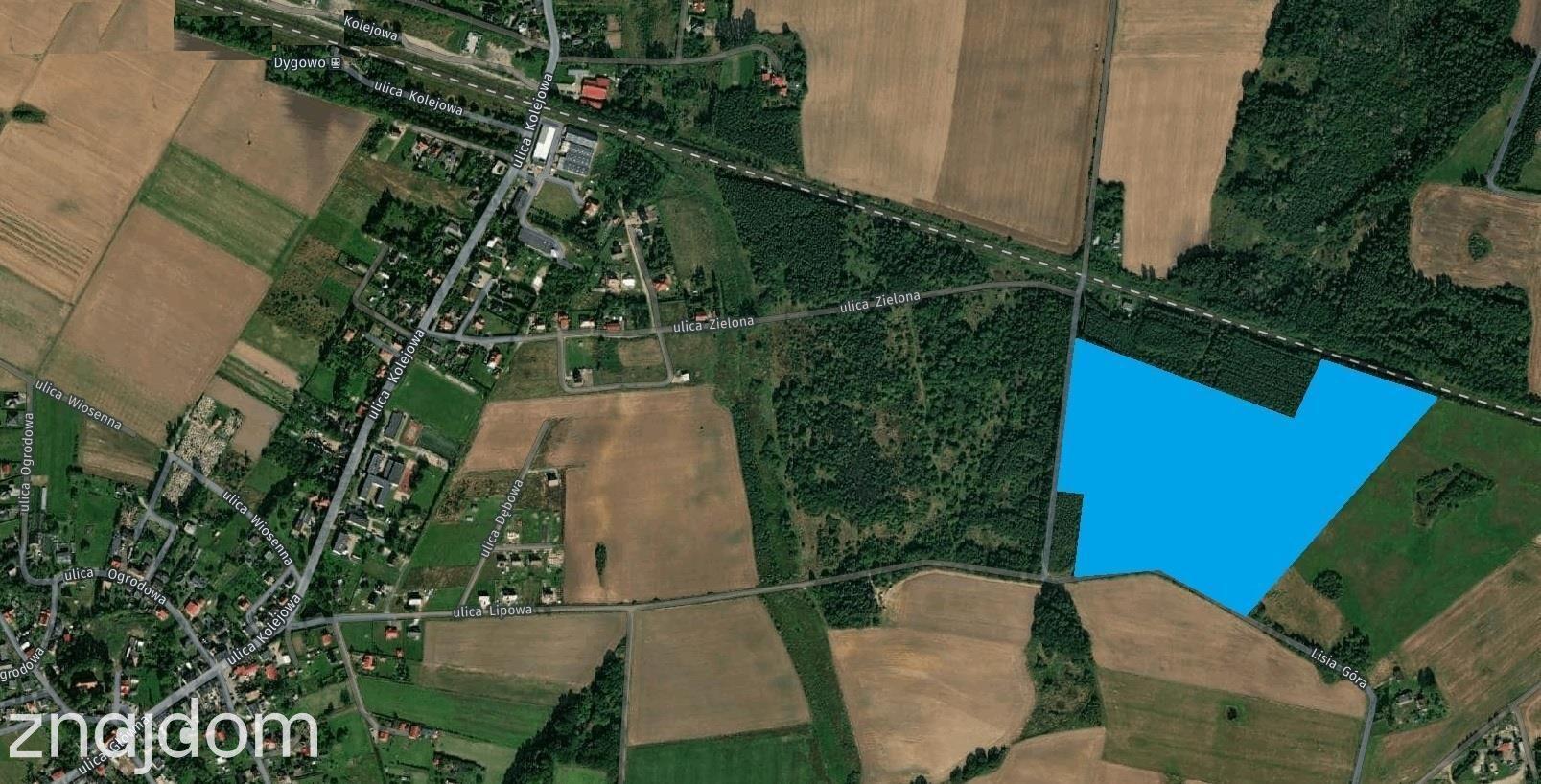 Dygowo teren 10,2 ha ze stawem w lesie - zdjęcie 5