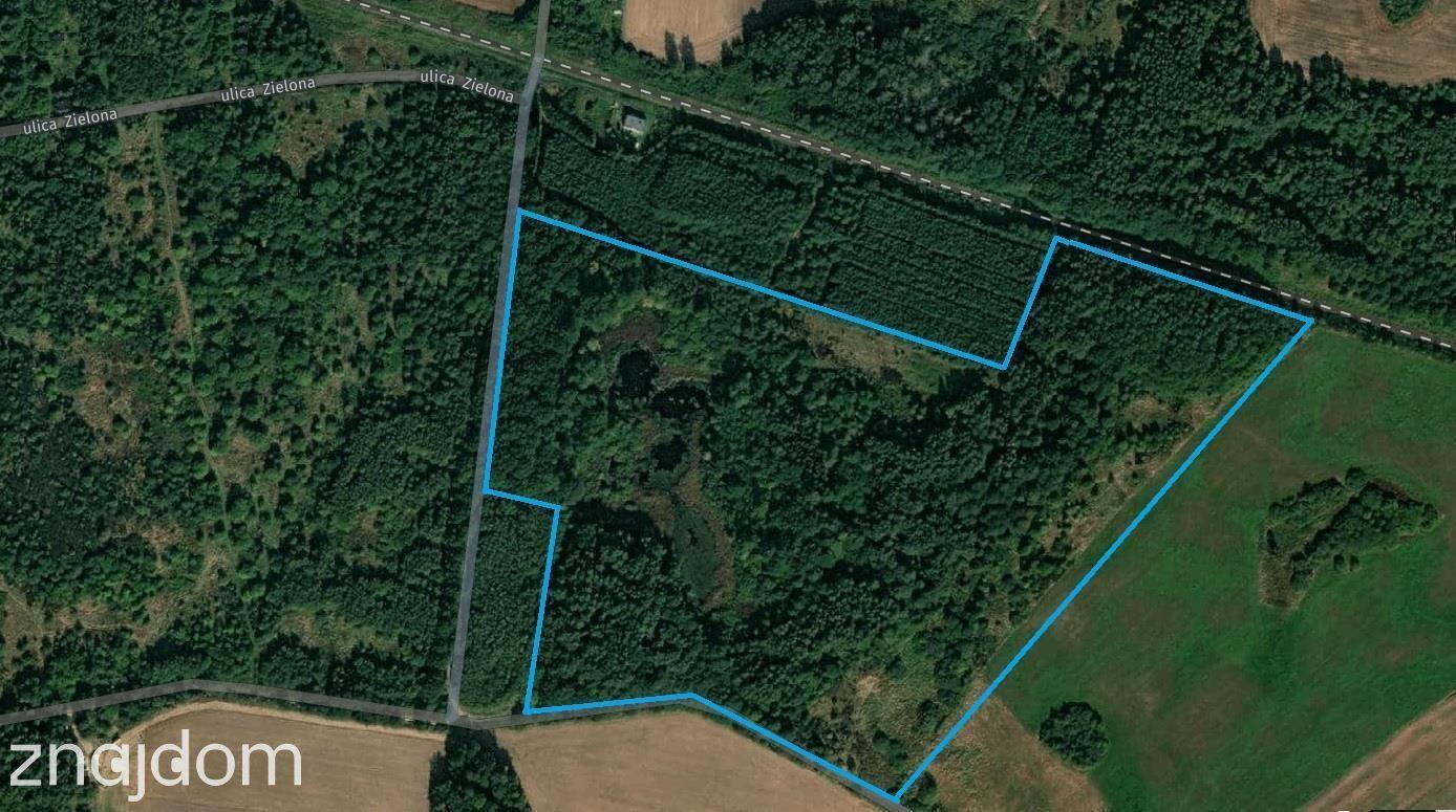 Dygowo teren 10,2 ha ze stawem w lesie - zdjęcie 8