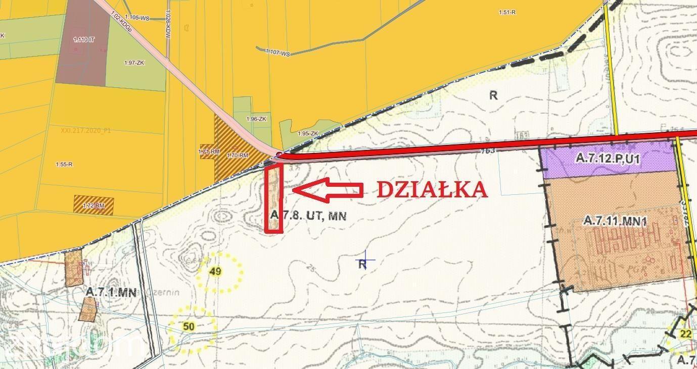 Czernin działka budowlana z młynem - zdjęcie 5