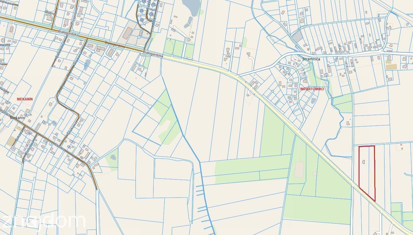 działki Stramnica 4 km od Kołobrzegu - zdjęcie 2