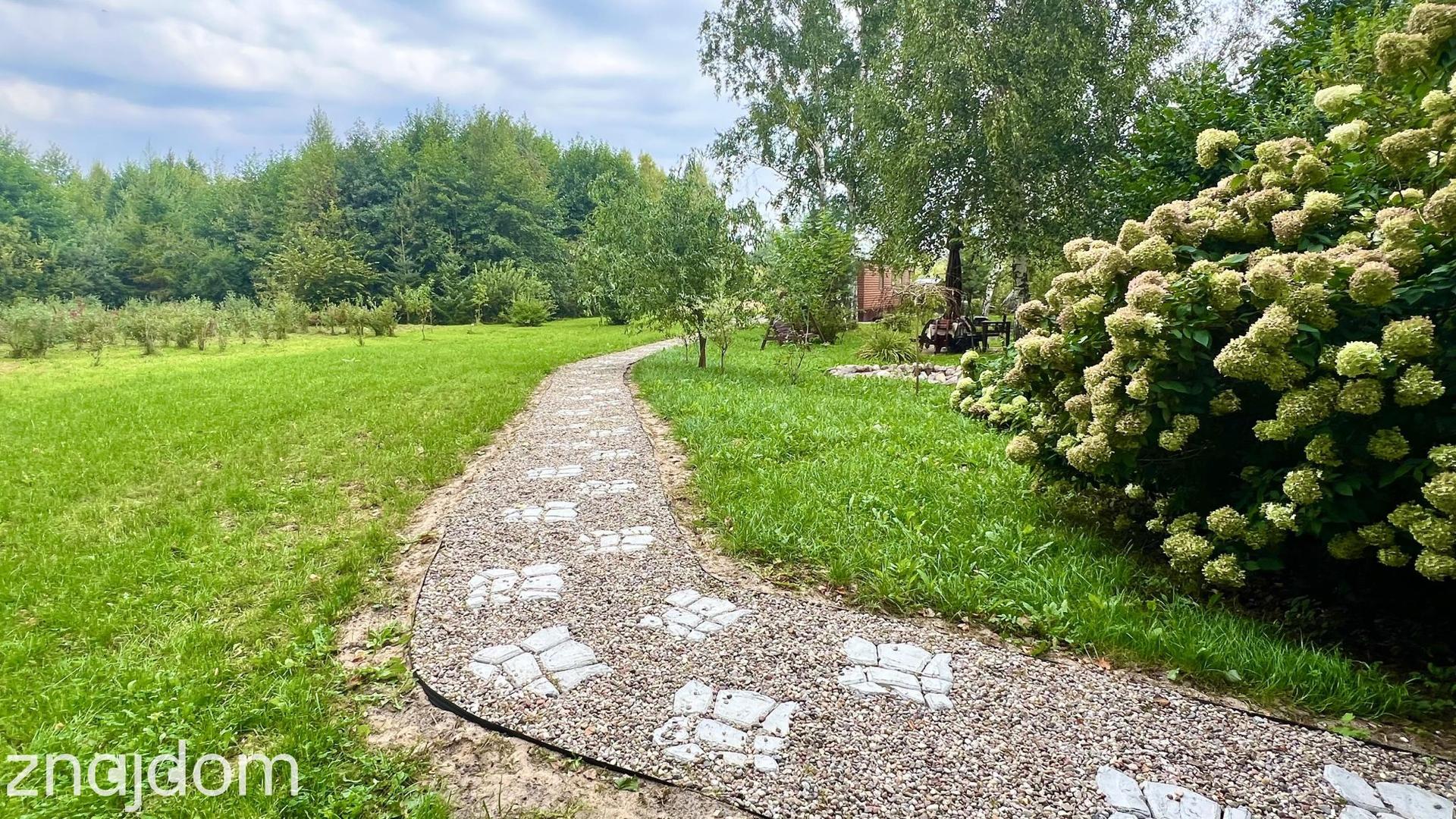 Las, cisza, woda i święty spokój tylko na działce. - zdjęcie 7