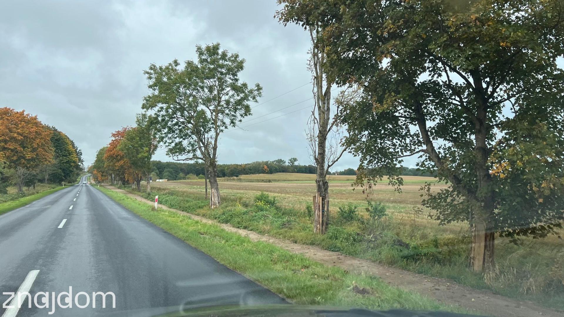 Działka w Dygowie - zdjęcie 9