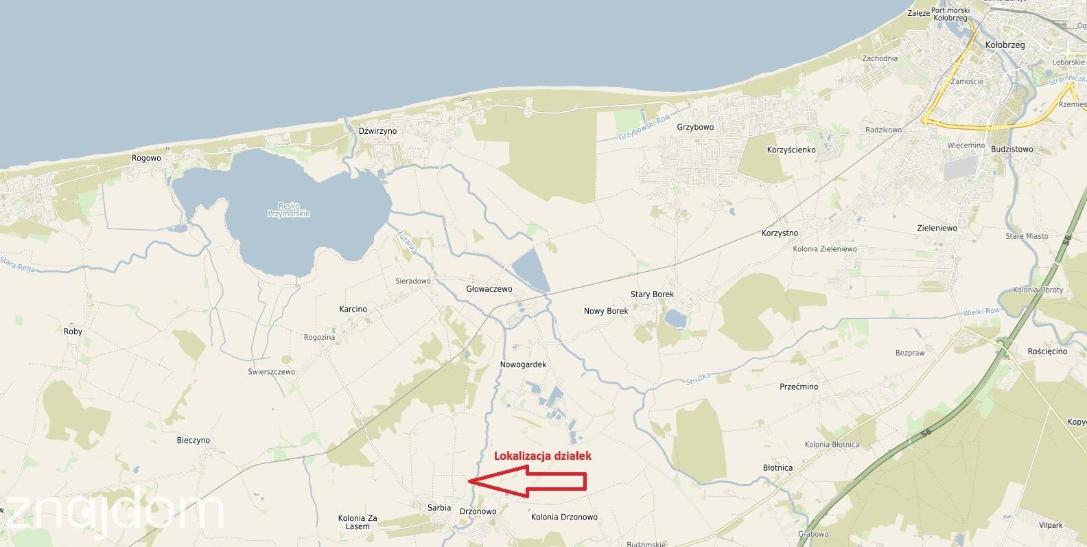 Działka rolna z dopuszczeniem lokalizacji siedliska dla rolnika - zdjęcie 3