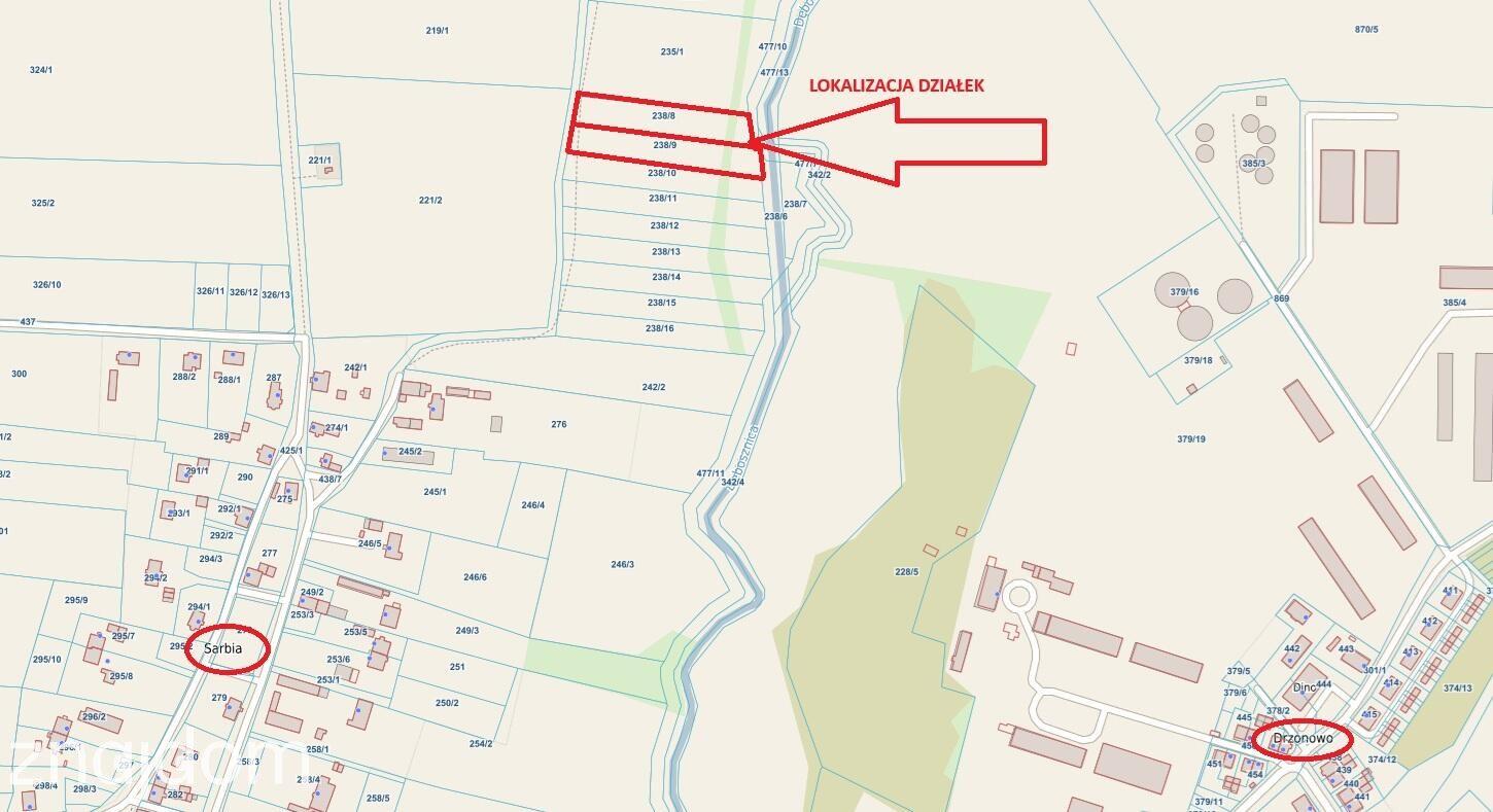 Działka rolna z dopuszczeniem lokalizacji siedliska dla rolnika - zdjęcie 4