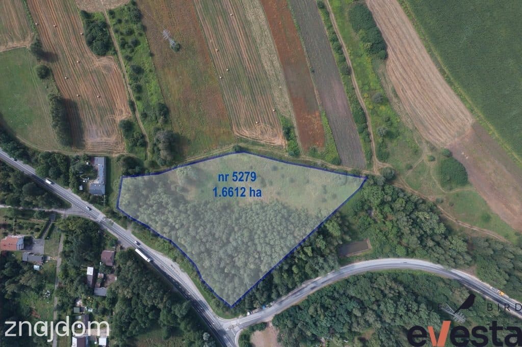 Działka 1,66 ha MPZP 100% MN | Asfalt | inwestycja