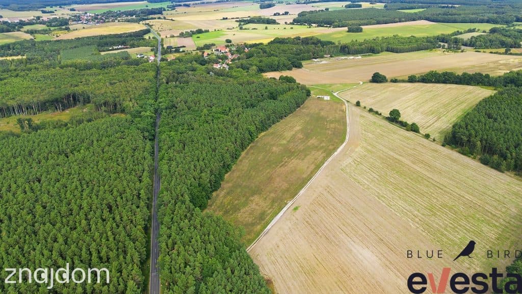 Działka usługowa 5,1 ha | Wołów | usługi publiczne - zdjęcie 4