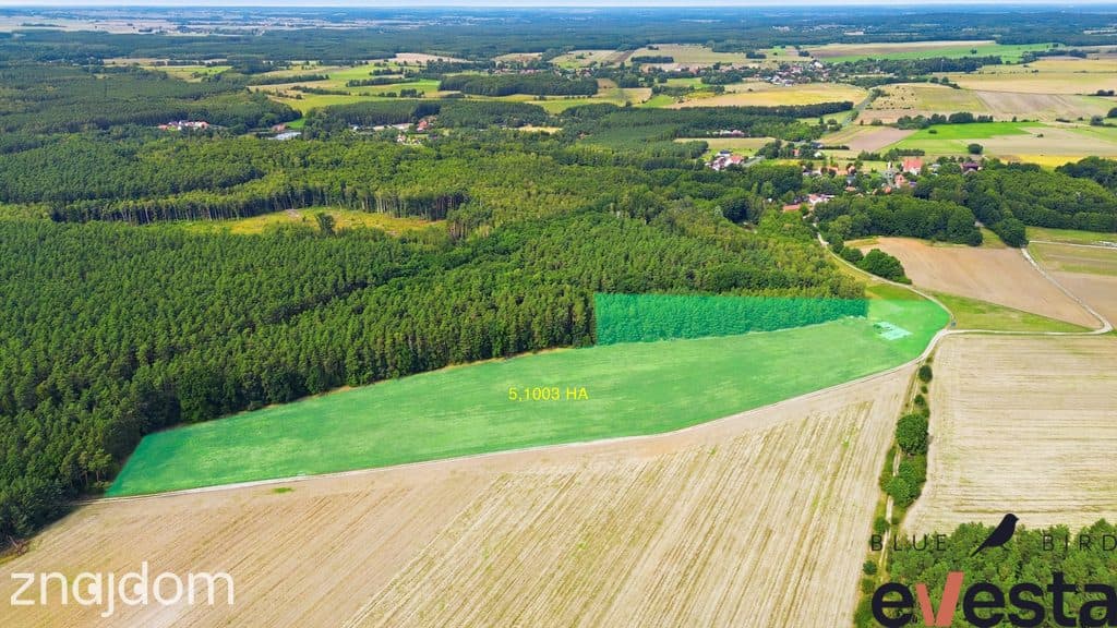 Działka usługowa 5,1 ha | Wołów | usługi publiczne - zdjęcie 2