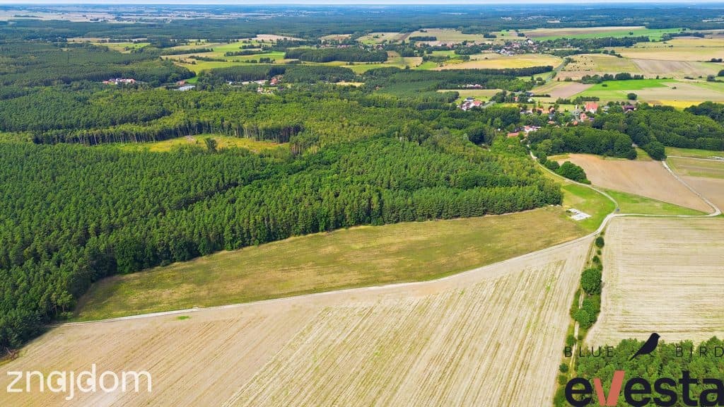 Działka usługowa 5,1 ha | Wołów | usługi publiczne - zdjęcie 5
