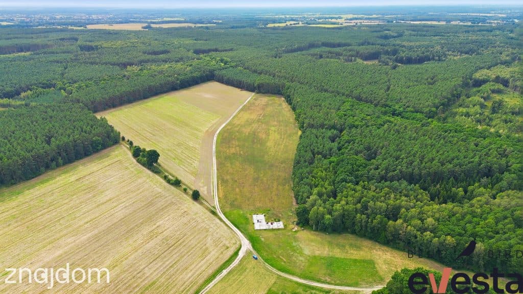 Działka usługowa 5,1 ha | Wołów | usługi publiczne