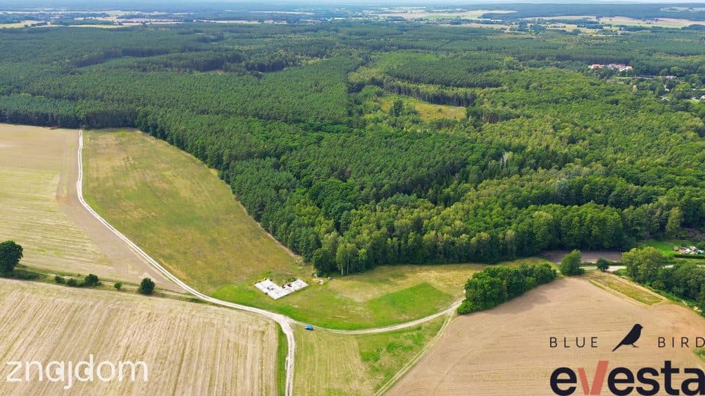Działka usługowa 5,1 ha | Wołów | usługi publiczne - zdjęcie 6