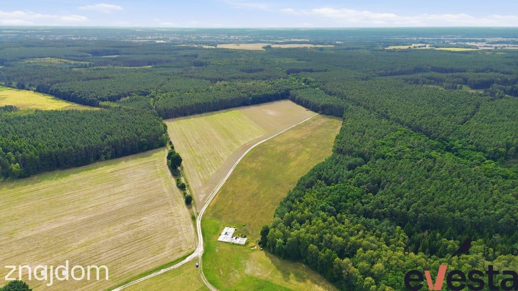 Działka usługowa 5,1 ha | Wołów | usługi publiczne - zdjęcie 7