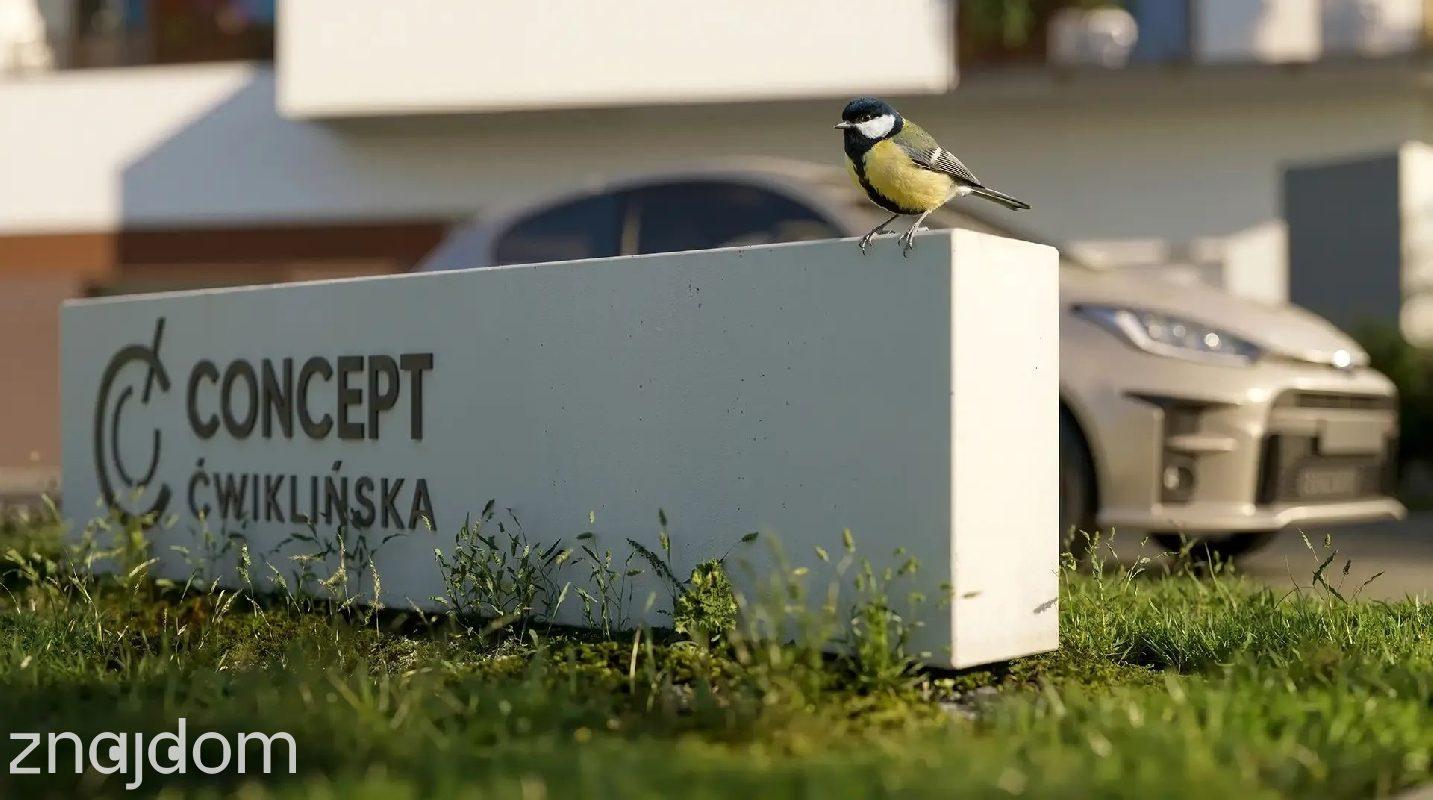 Concept Ćwiklińska - zdjęcie 7