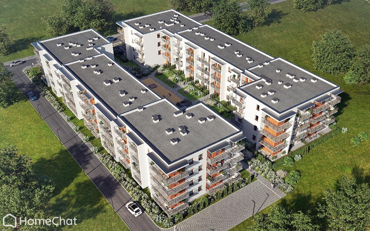 Koncertowe Wzgórze II - zdjęcie 4