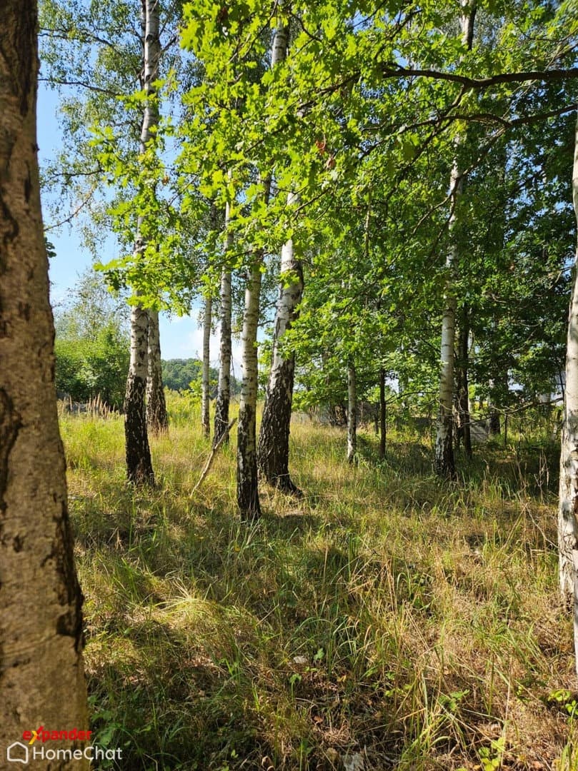 Dom wolnostojący parterowy 90m2 - zdjęcie 2