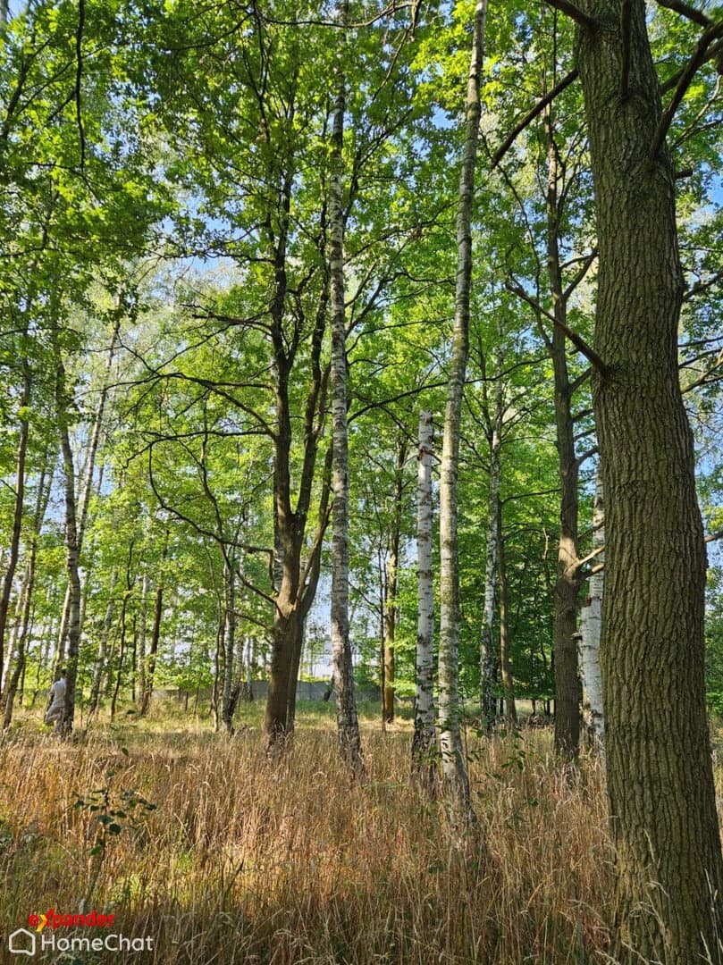 Dom wolnostojący parterowy 90m2 - zdjęcie 3