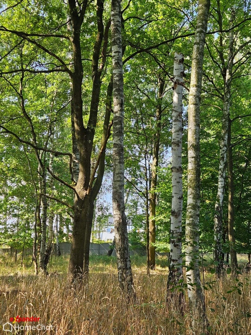 Dom wolnostojący parterowy 90m2 - zdjęcie 4