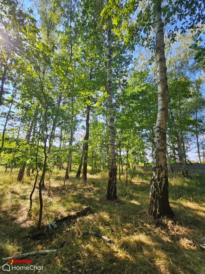 Dom wolnostojący parterowy 90m2 - zdjęcie 5