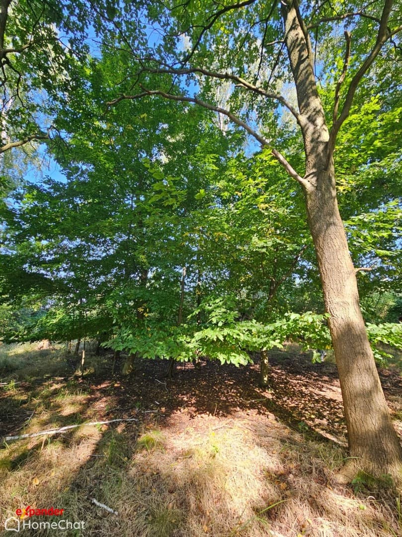 Dom wolnostojący parterowy 90m2 - zdjęcie 7