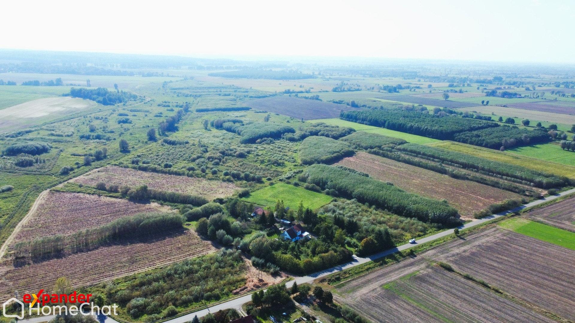 Grunty rolne: Stankowo, aktywne plantacje wierzby