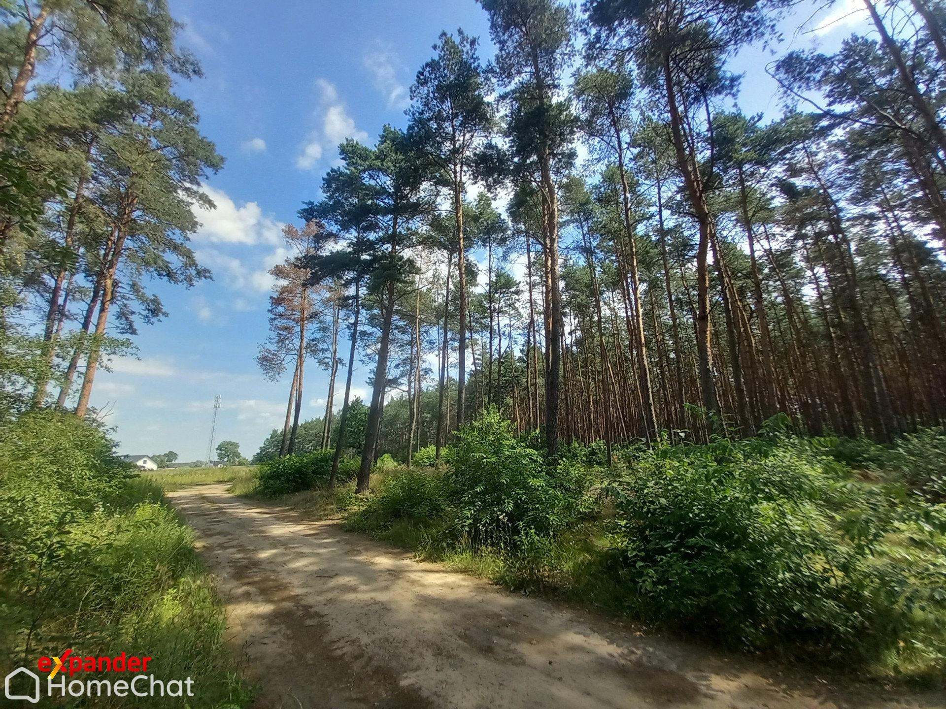 DZIAŁKA LEŚNA POD REKREACJĘ Z LASEM 789 M2 !