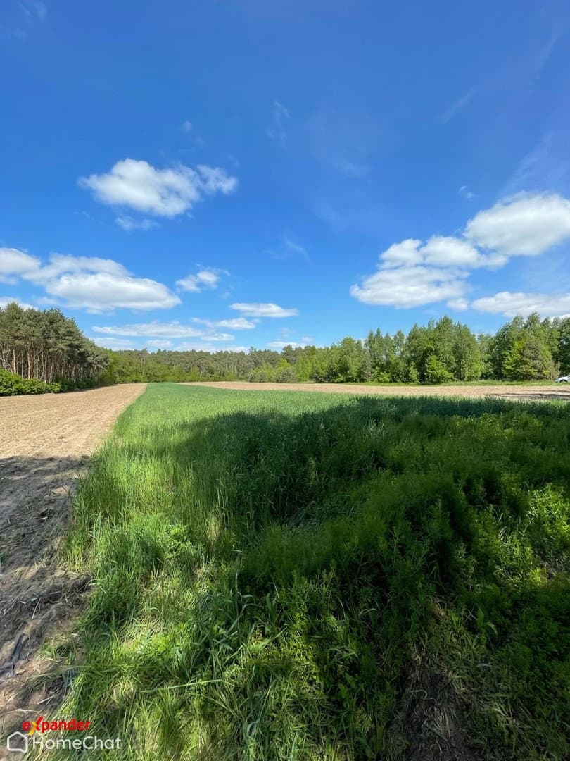 Działka rolna w Szałe k. Kalisza – cisza i natura.