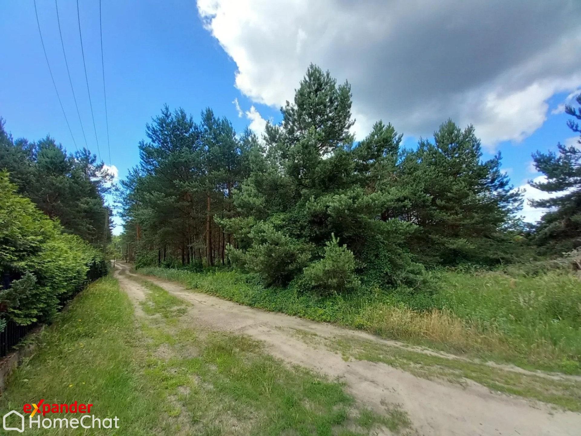 Sąsieczno działka budowlana 1069 m2 spokojna okolica z lasem