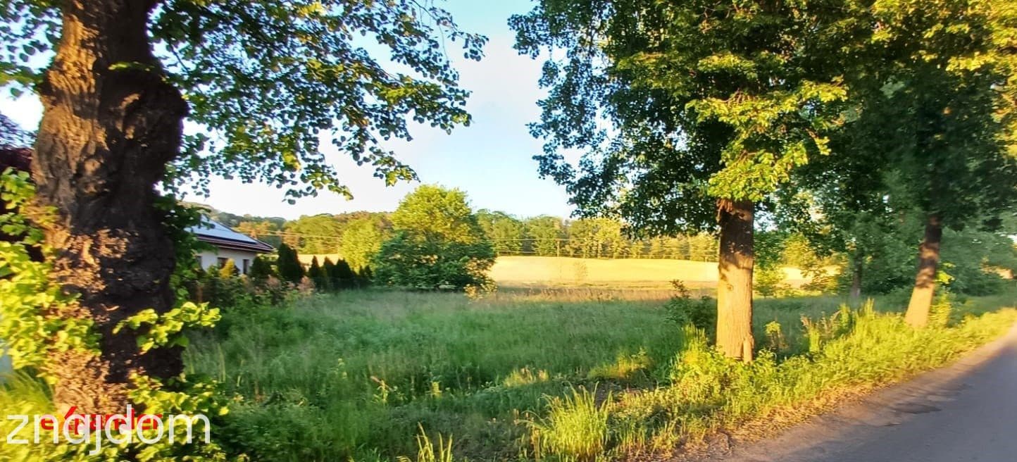 Działka budowlana - Świecko 1868m2 - zdjęcie 5