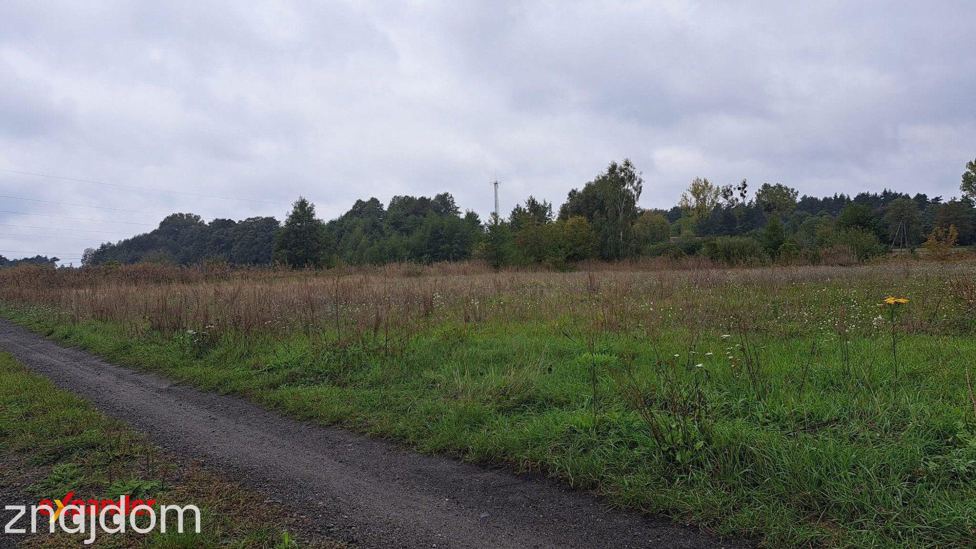 Działka rolna z wydanymi warunkami zabudowy