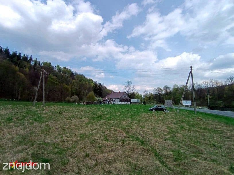 6468m2 Wjazd do Świeradów Zdrój ! Przy drodze nr DW358 ul. Grunwaldzka - zdjęcie 2