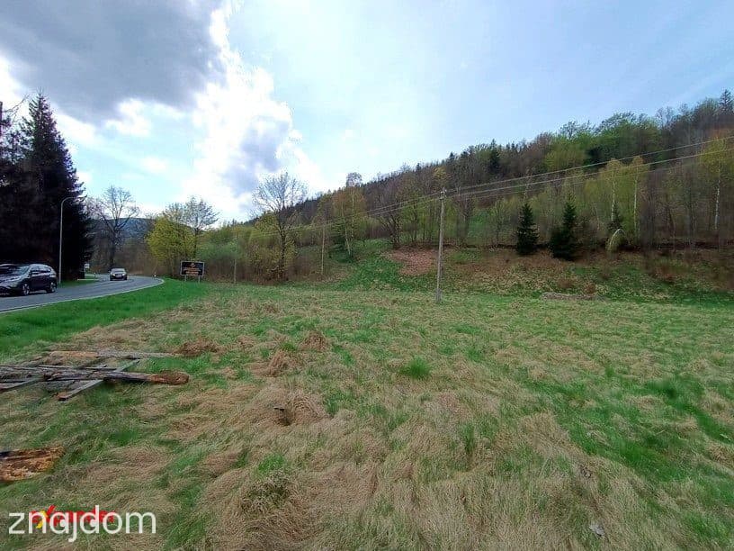 6468m2 Wjazd do Świeradów Zdrój ! Przy drodze nr DW358 ul. Grunwaldzka - zdjęcie 3