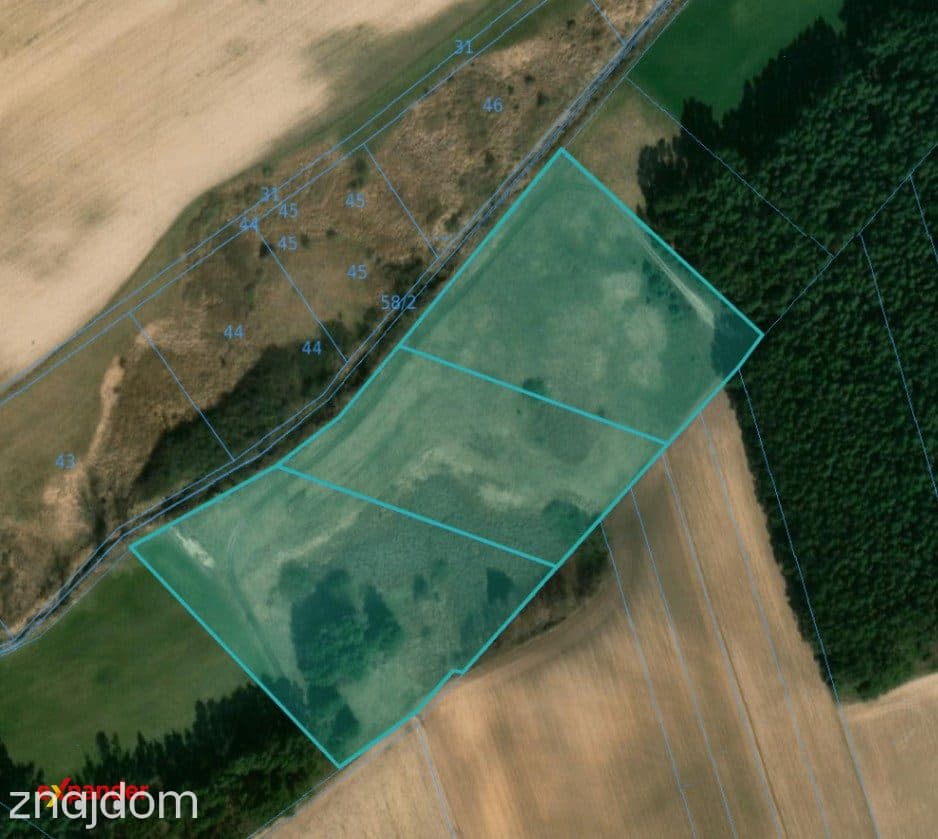Działka 2,66 ha ze stawkiem, Połajewek, Las i Natura