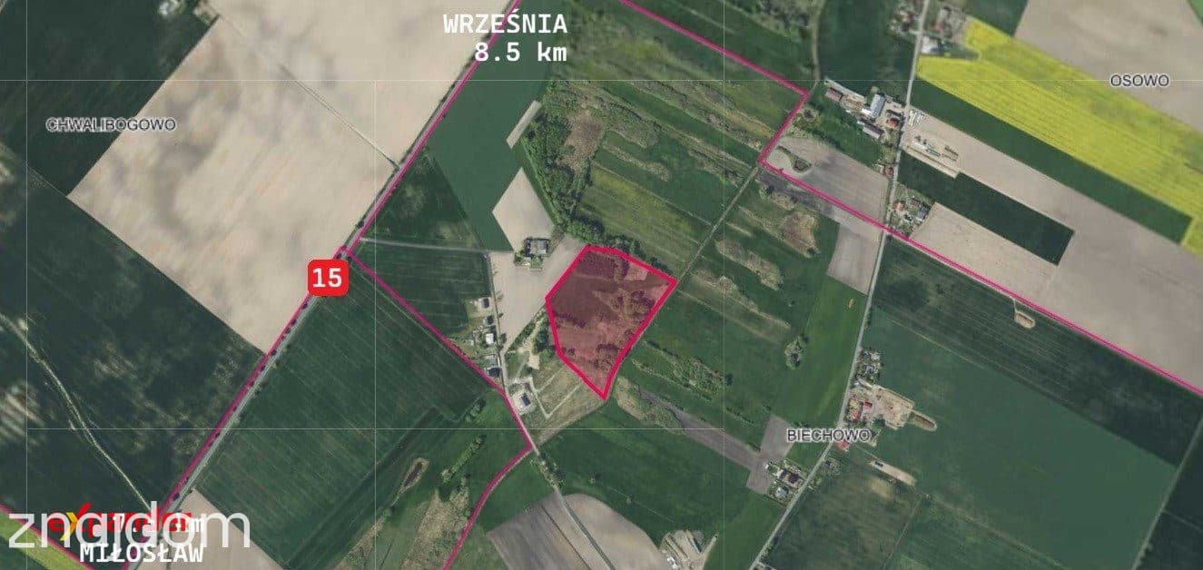 Działka rolna duża regularny kształt 4ha status: ŁV,ŁVI,N,RV,RVI - zdjęcie 5