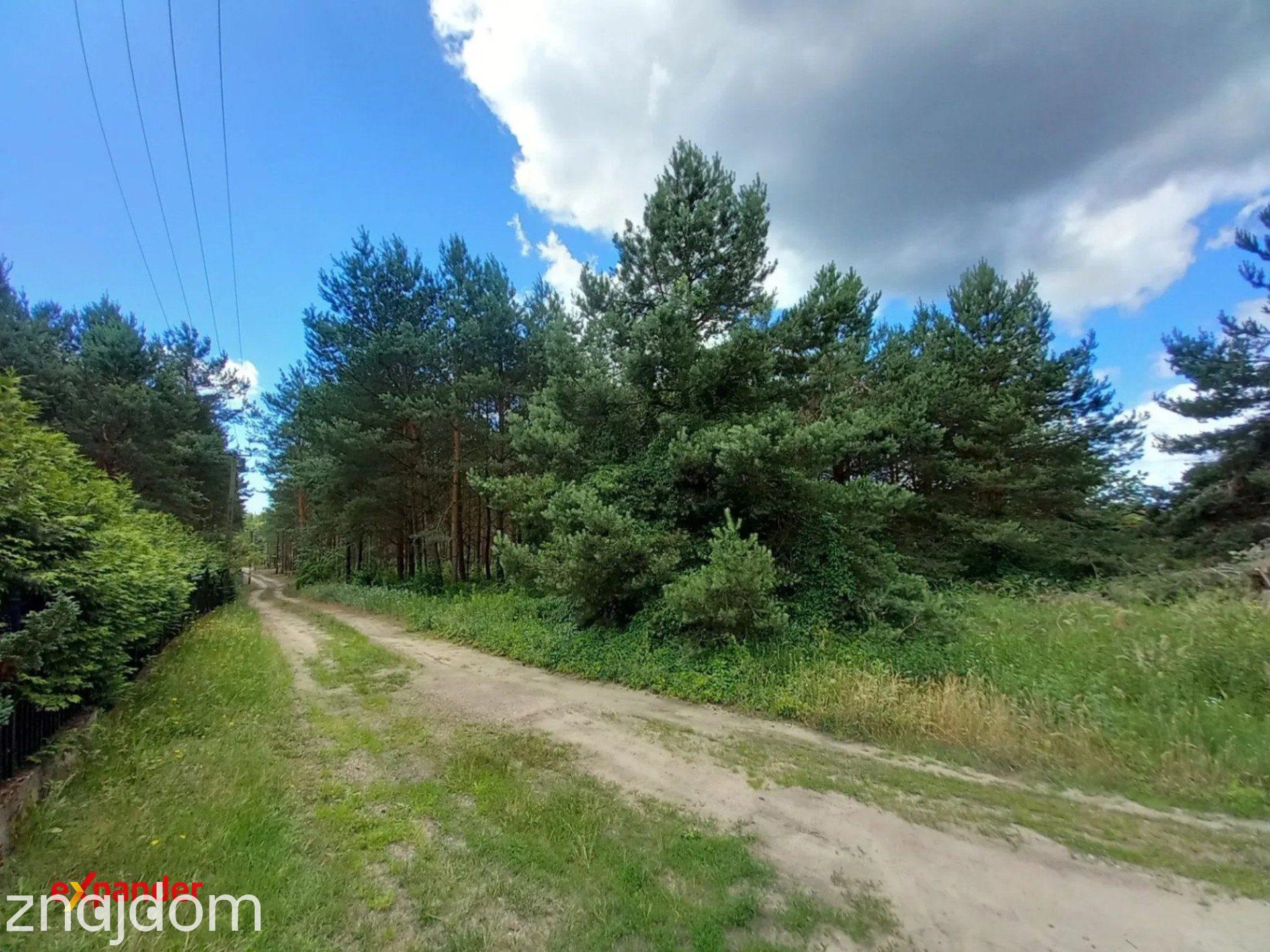 Sąsieczno działka budowlana 1069 m2 spokojna okolica z lasem