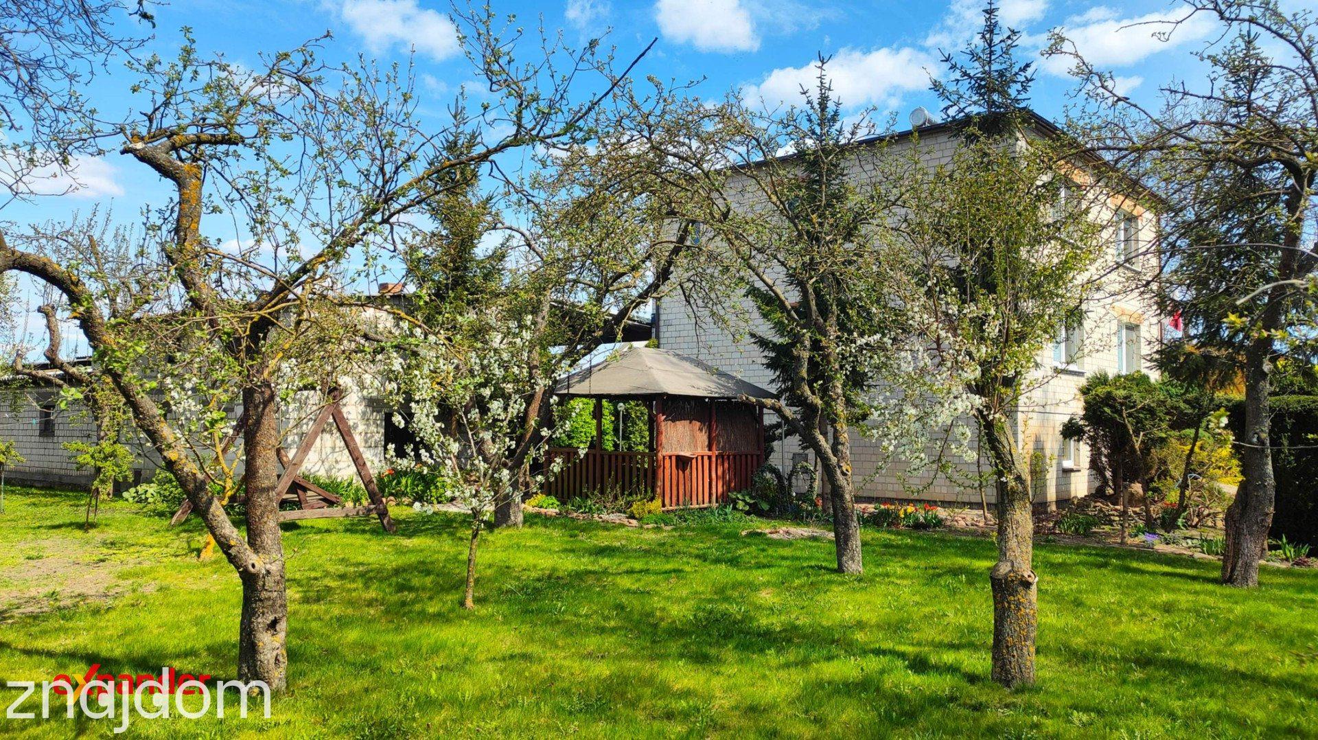 Przestronne siedlisko / Działka 3300 m²/ budynki gospodarcze (opcja 8.5 ha) - zdjęcie 27