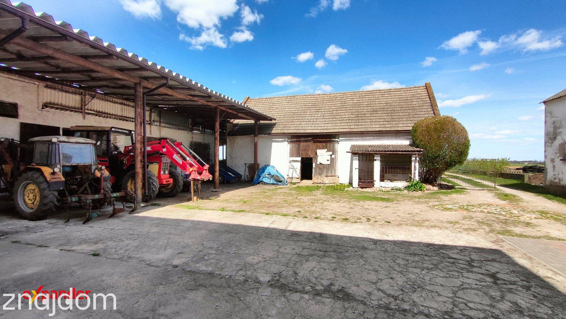 Przestronne siedlisko / Działka 3300 m²/ budynki gospodarcze (opcja 8.5 ha) - zdjęcie 6
