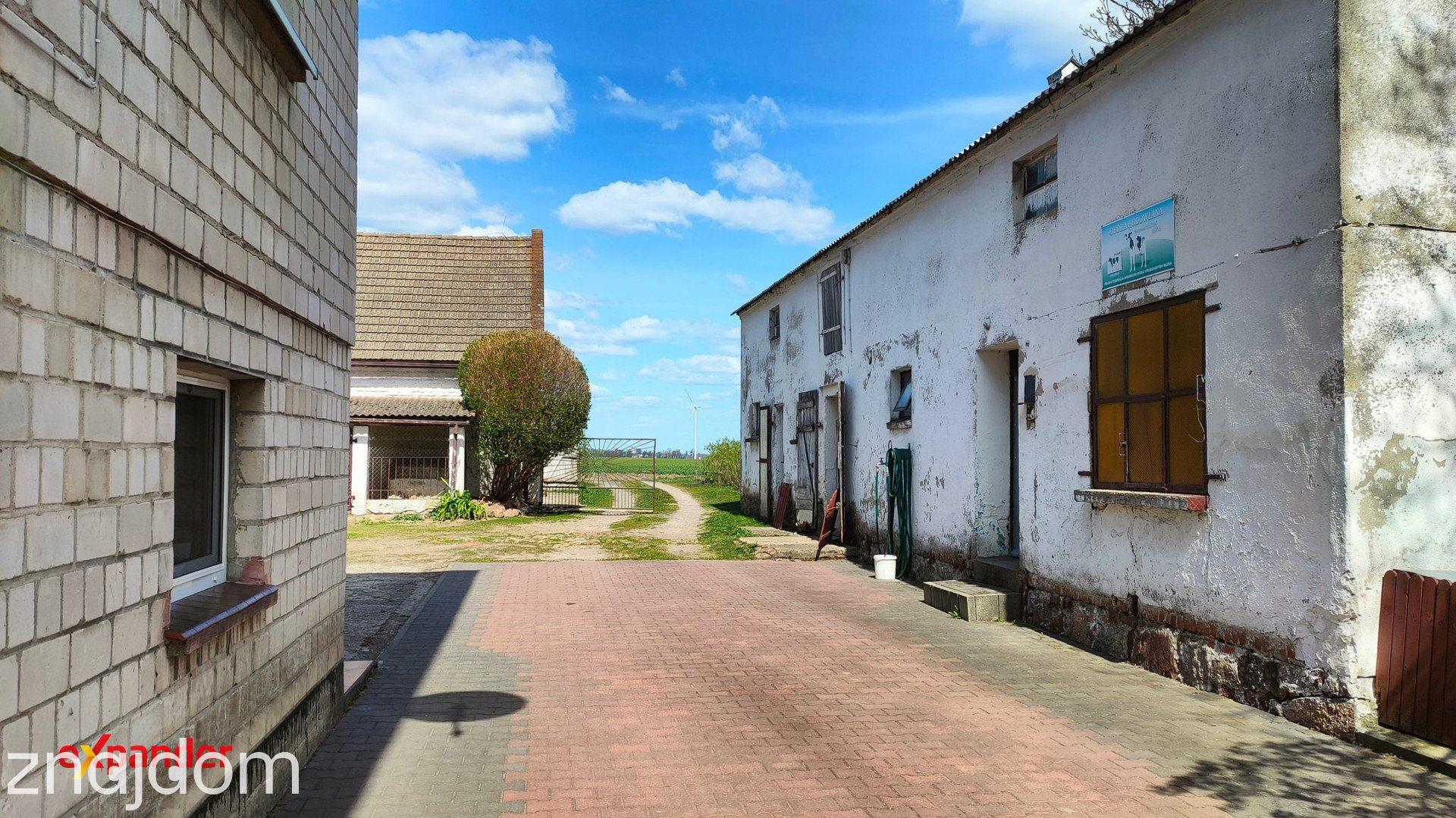 Przestronne siedlisko / Działka 3300 m²/ budynki gospodarcze (opcja 8.5 ha) - zdjęcie 7