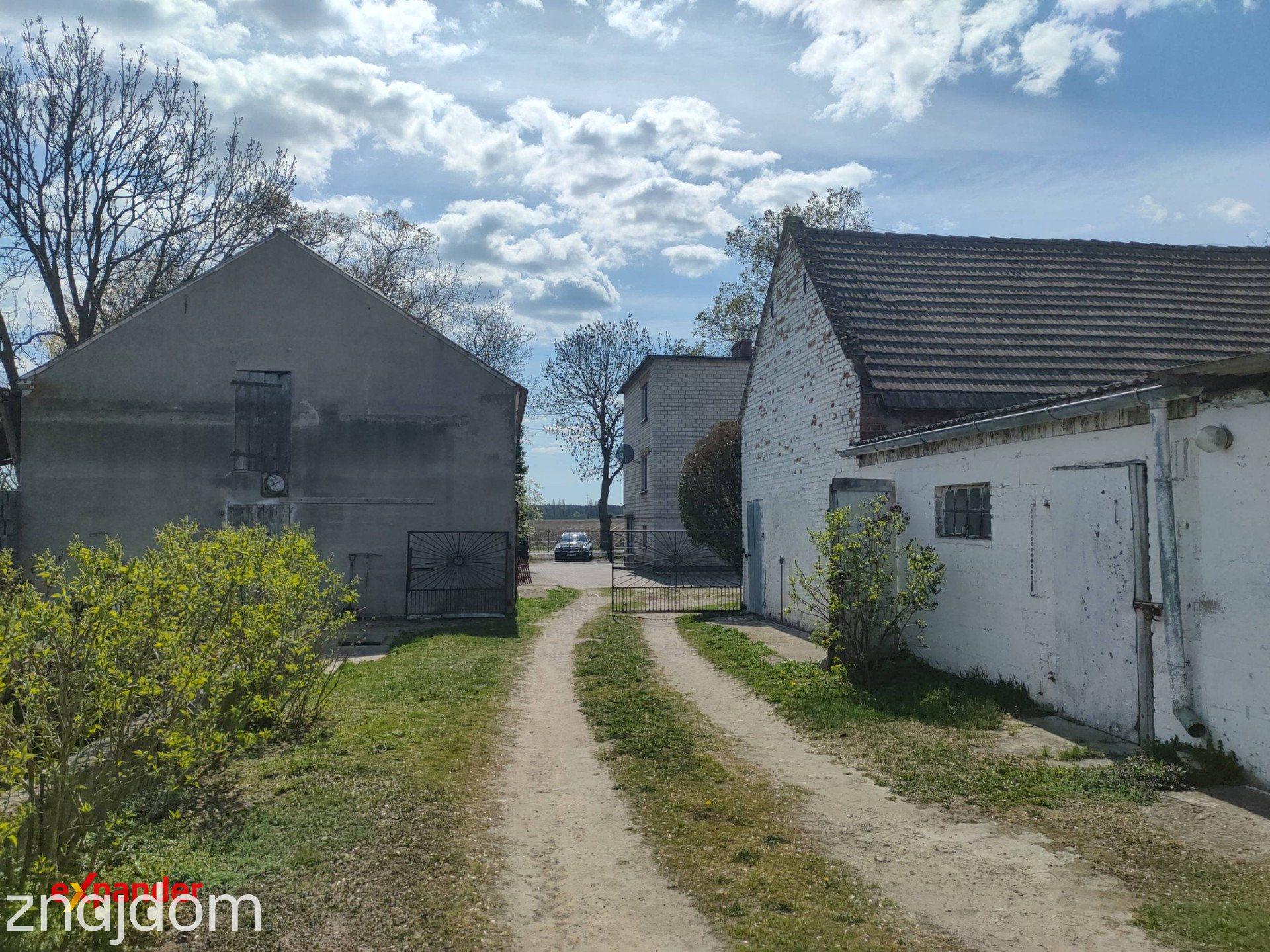 Przestronne siedlisko / Działka 3300 m²/ budynki gospodarcze (opcja 8.5 ha) - zdjęcie 8