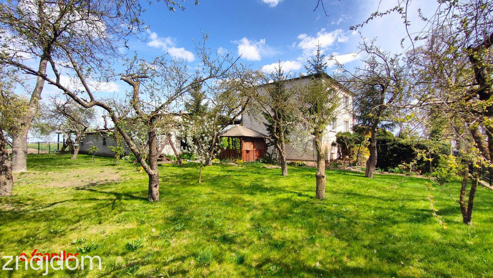 Przestronne siedlisko / Działka 3300 m²/ budynki gospodarcze (opcja 8.5 ha) - zdjęcie 9