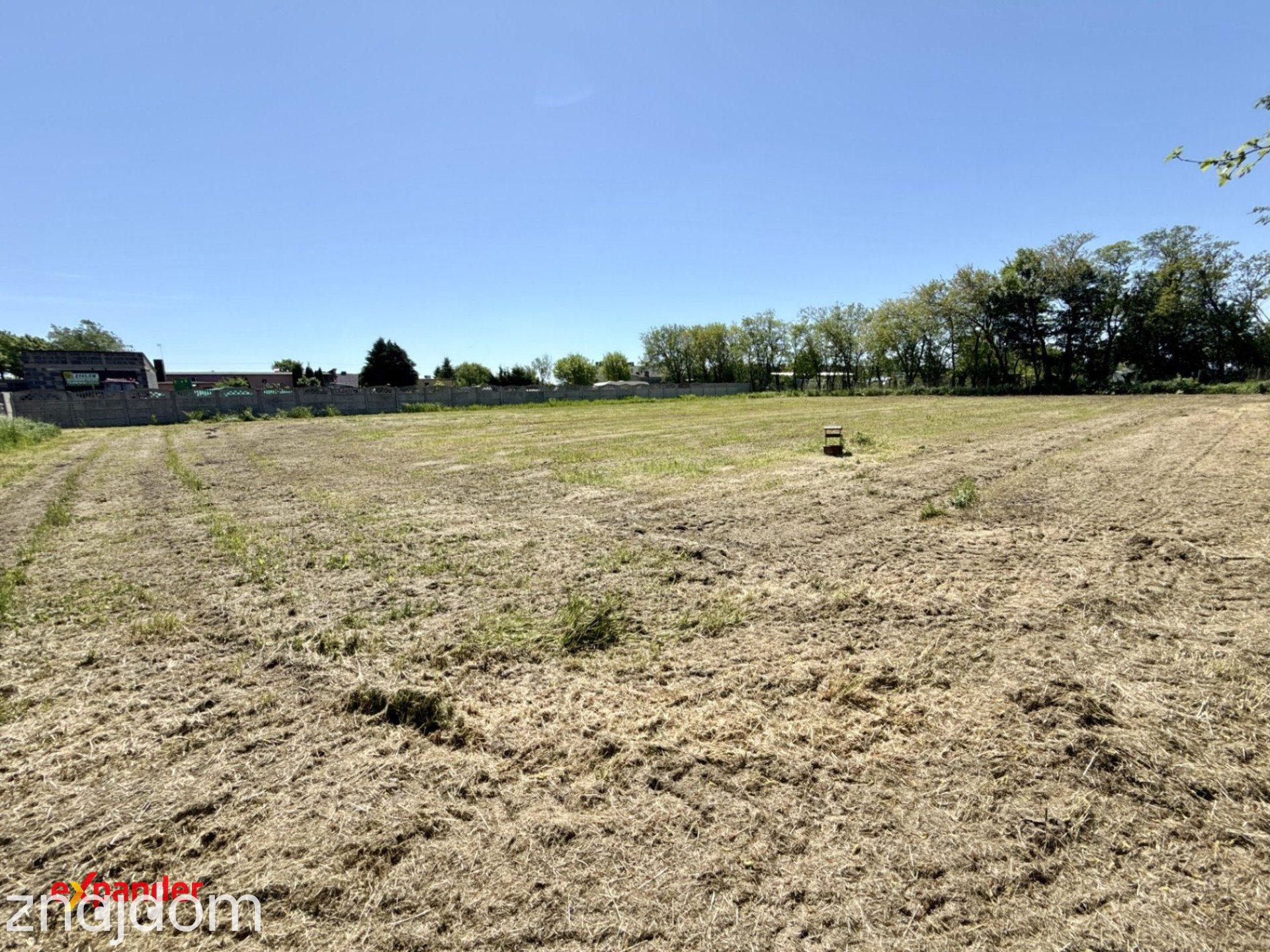 Działka budowlana 2450 m² – Targowa Górka, warunki zabudowy, media, spokojna okolica - zdjęcie 3