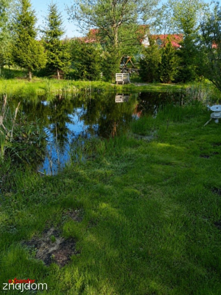 Dom z własnym stawem i dużą działką, fotowoltaika, klimatyzacja. - zdjęcie 12